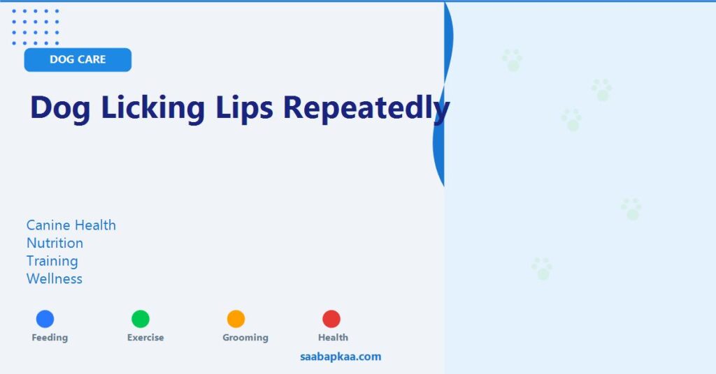 Dog Licking Lips Repeatedly - saabapkaa.com