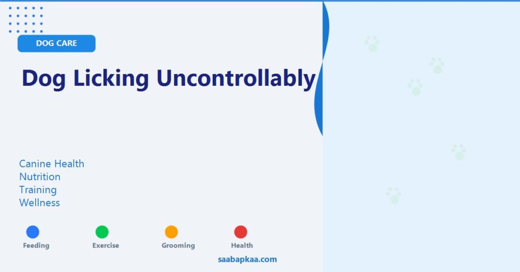 Dog Licking Uncontrollably - saabapkaa.com