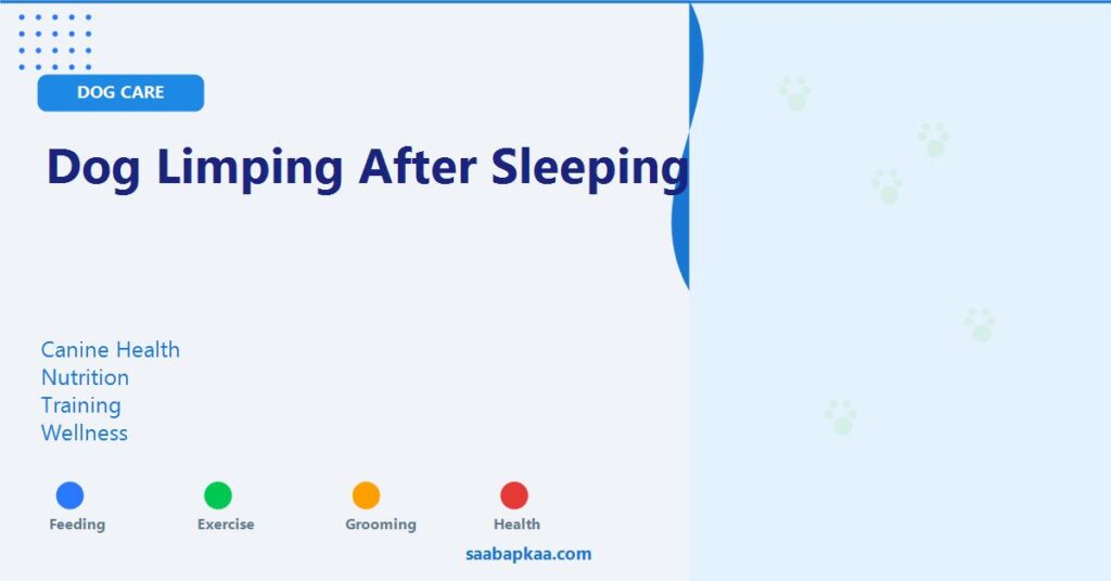 Dog Limping After Sleeping - saabapkaa.com