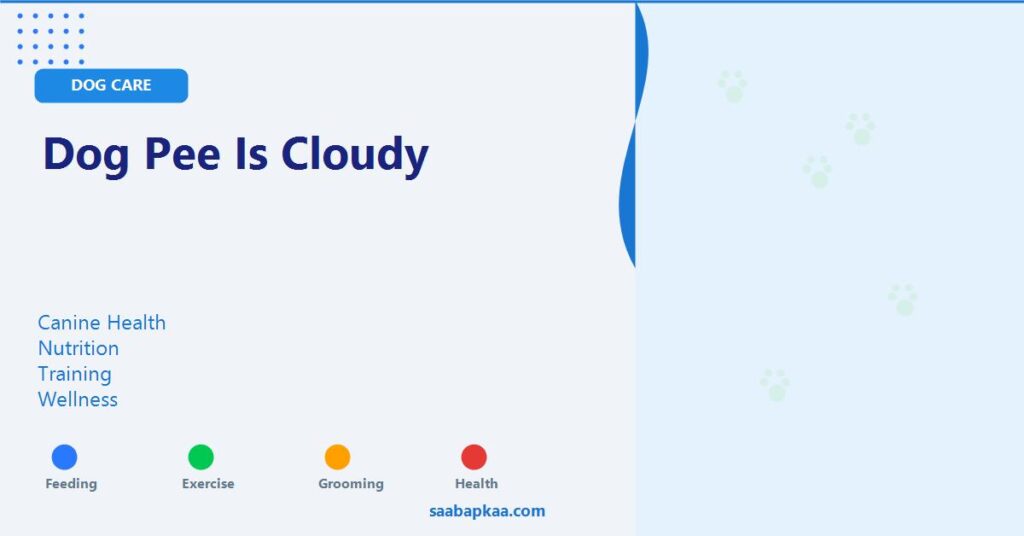 Dog Pee is Cloudy - saabapkaa.com