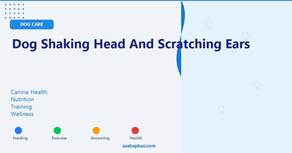 Dog Shaking Head and Scratching Ears - saabapkaa.com