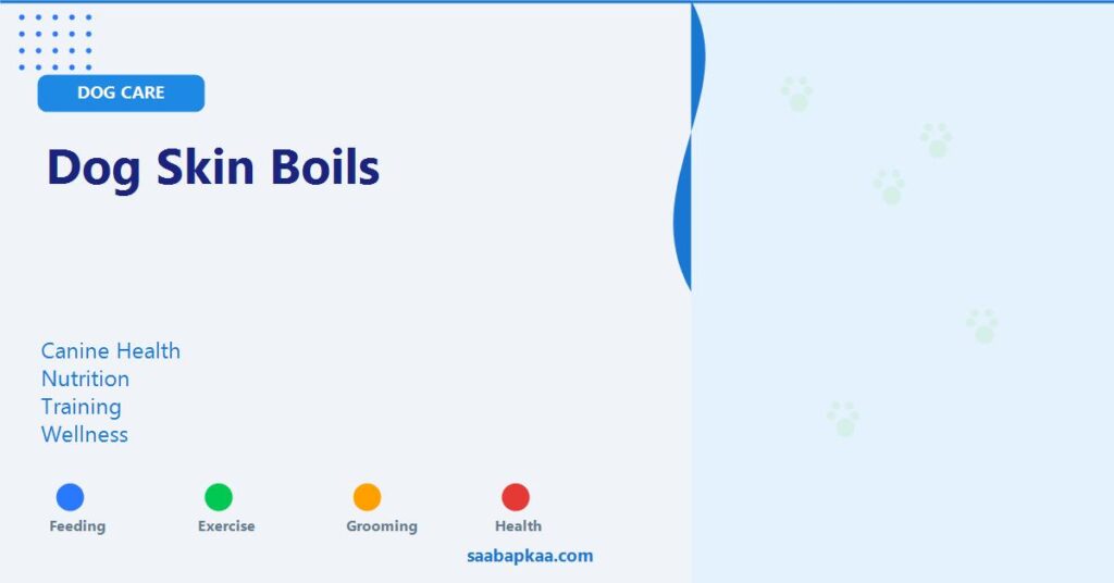 Dog Skin Boils - saabapkaa.com