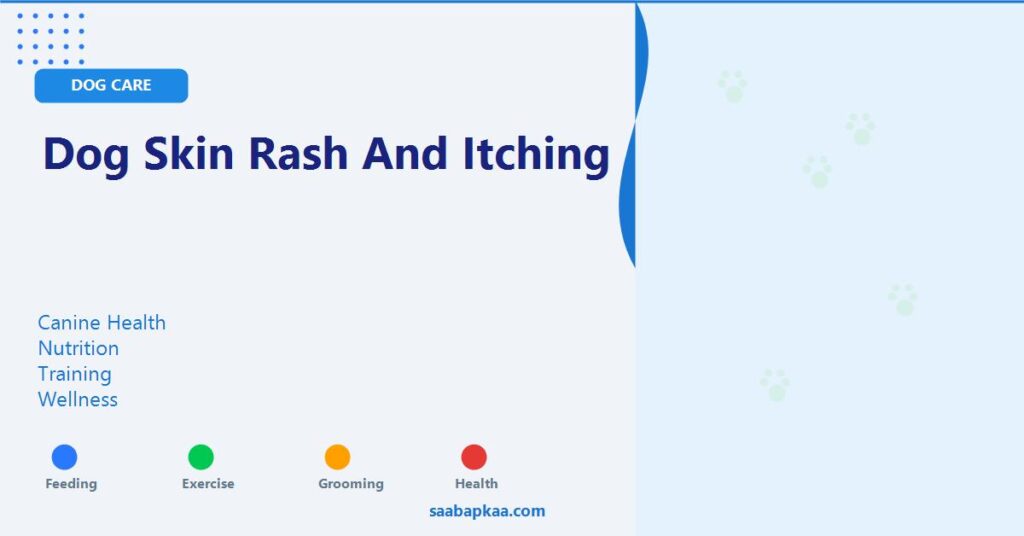 Dog Skin Rash and Itching - saabapkaa.com