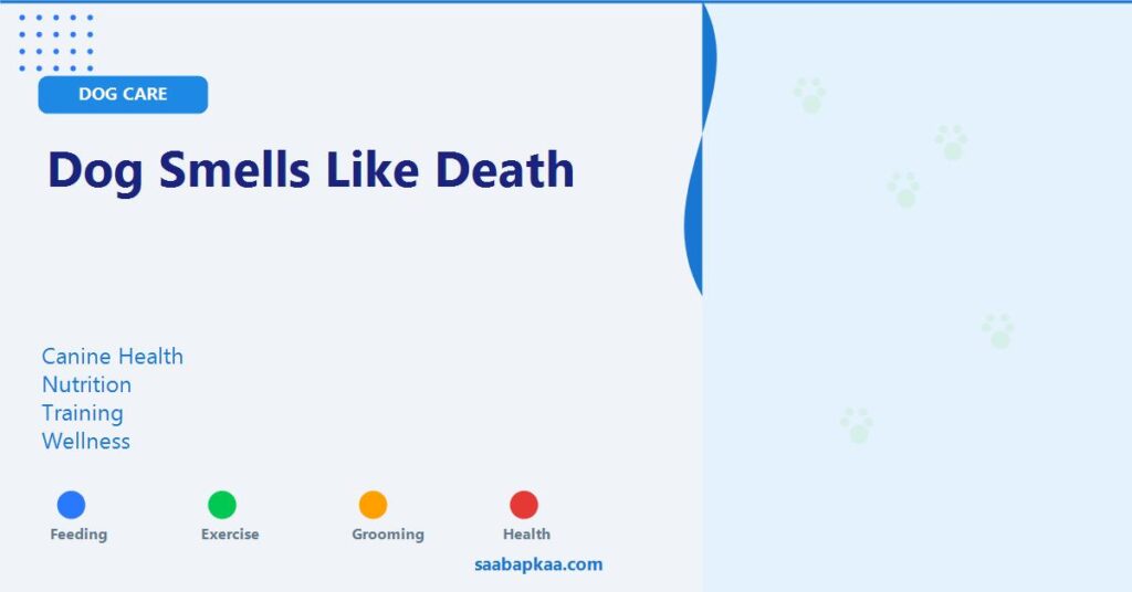Dog Smells Like Death - saabapkaa.com