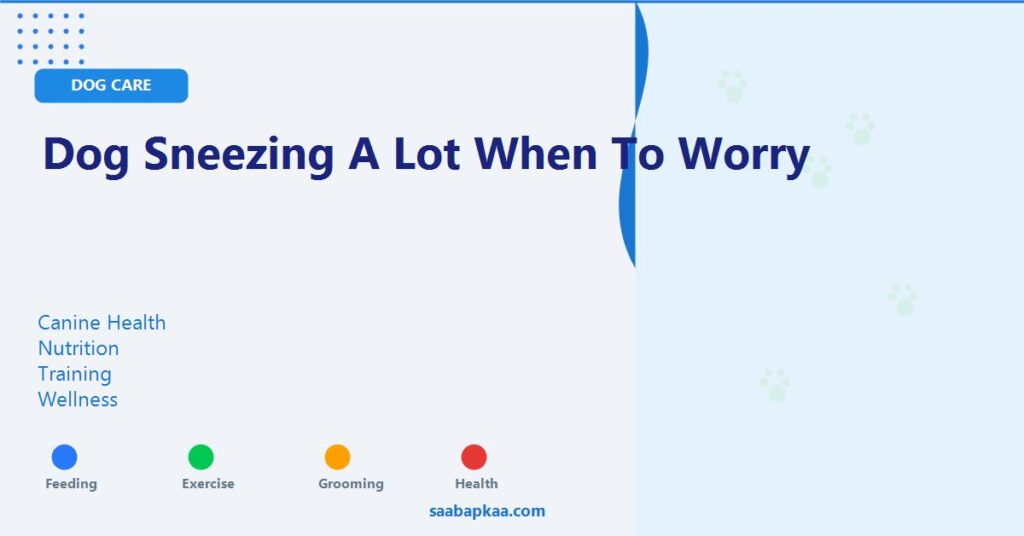 Dog Sneezing a Lot when to Worry - saabapkaa.com