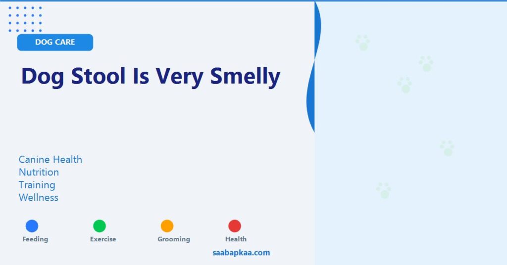 Dog Stool is Very Smelly - saabapkaa.com