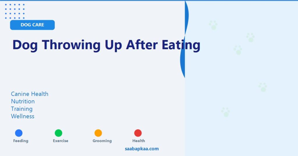 Dog Throwing Up After Eating - saabapkaa.com