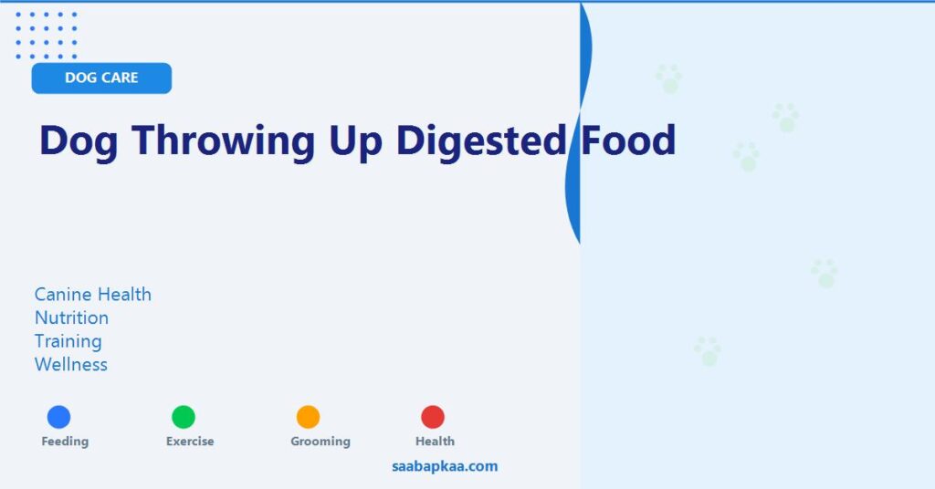 Dog Throwing Up Digested Food - saabapkaa.com