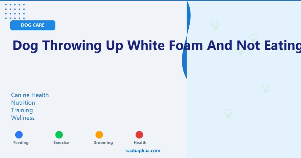 Dog Throwing Up White Foam and Not Eating - saabapkaa.com