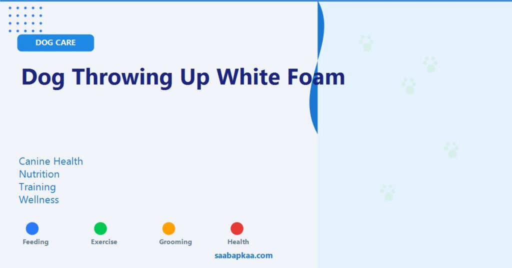Dog Throwing Up White Foam - saabapkaa.com