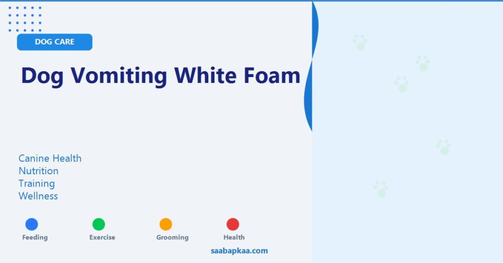Dog Vomiting White Foam - saabapkaa.com