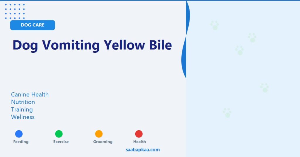 Dog Vomiting Yellow Bile - saabapkaa.com