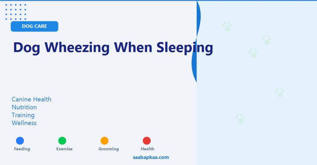 Dog Wheezing when Sleeping - saabapkaa.com