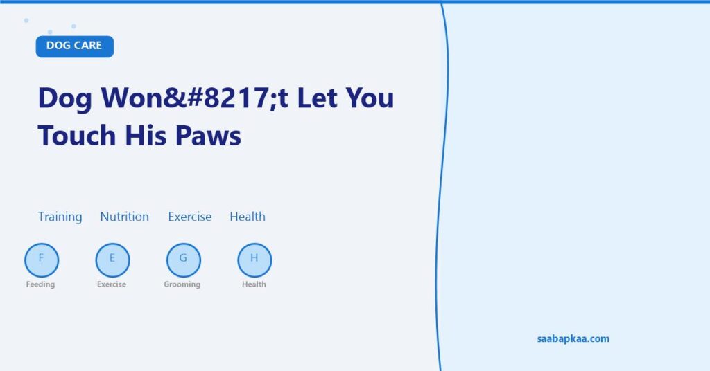 Dog Won’t Let You Touch His Paws - saabapkaa.com