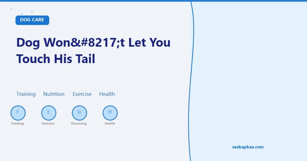 Dog Won’t Let You Touch His Tail - saabapkaa.com