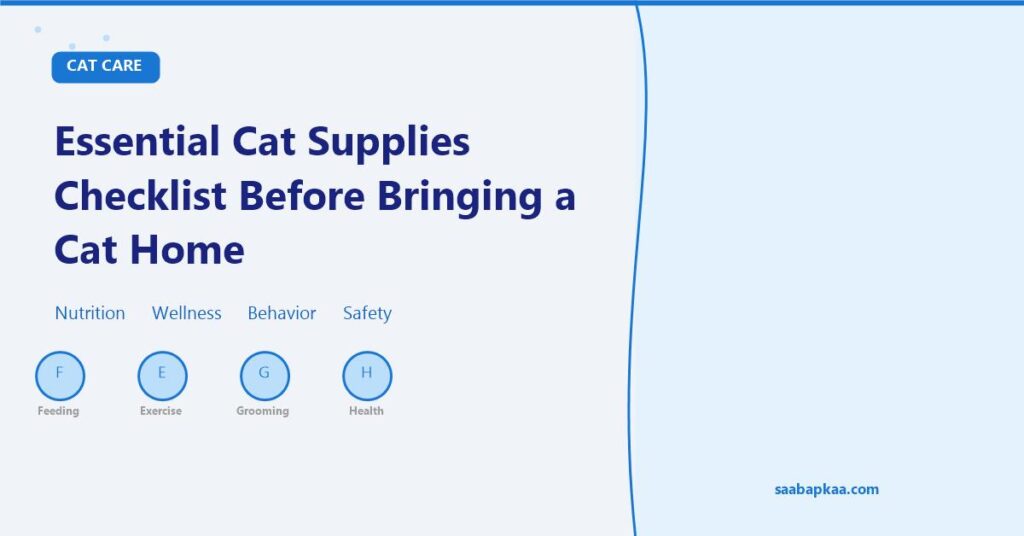 Essential Cat Supplies Checklist Before Bringing a Cat Home - saabapkaa.com