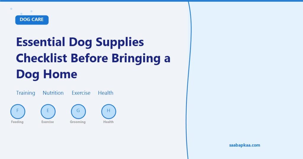 Essential Dog Supplies Checklist Before Bringing a Dog Home - saabapkaa.com