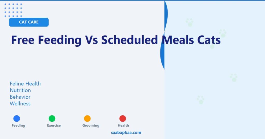 Free Feeding Vs Scheduled Meals Cats - saabapkaa.com