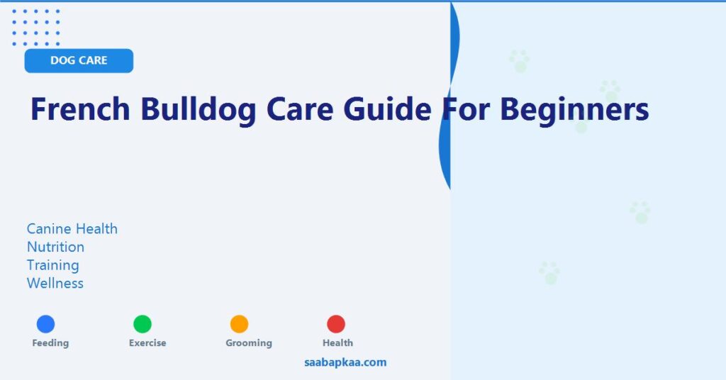 French Bulldog Care Guide for Beginners - saabapkaa.com