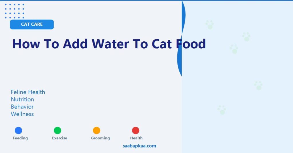 How To Add Water To Cat Food - saabapkaa.com