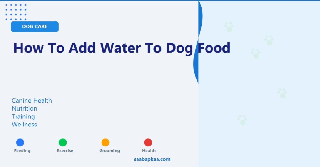 How to Add Water to Dog Food - saabapkaa.com