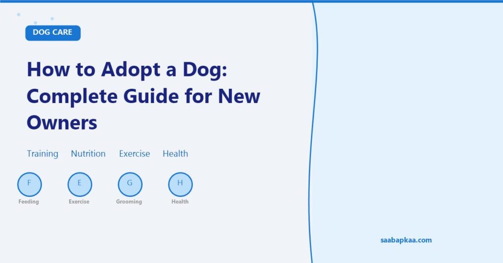 How to Adopt a Dog: Complete Guide for New Owners - saabapkaa.com