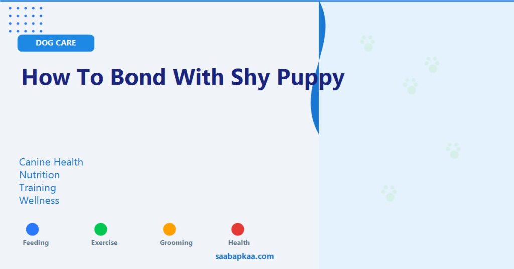 How to Bond with Shy Puppy - saabapkaa.com