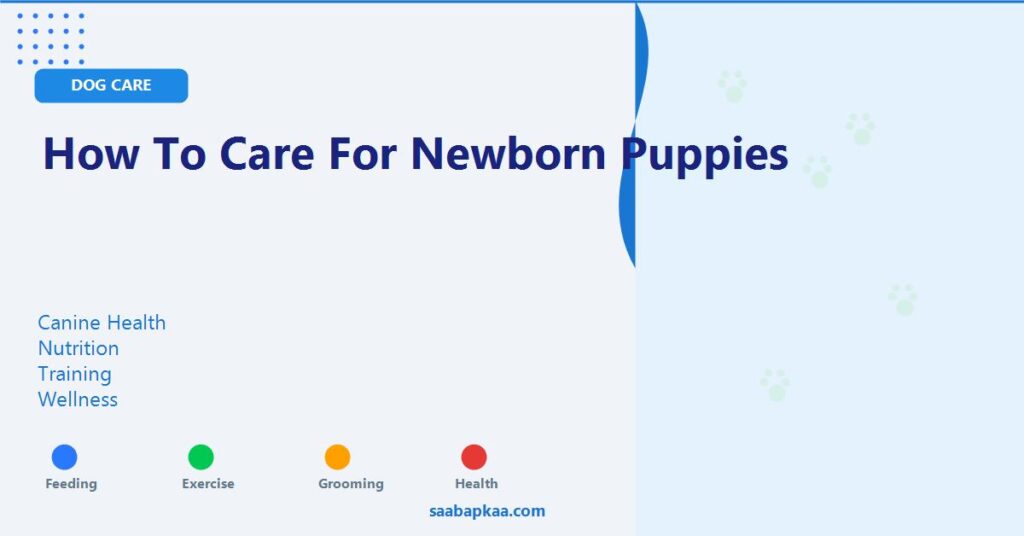 How to Care for Newborn Puppies - saabapkaa.com