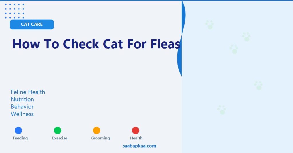 How To Check Cat For Fleas - saabapkaa.com