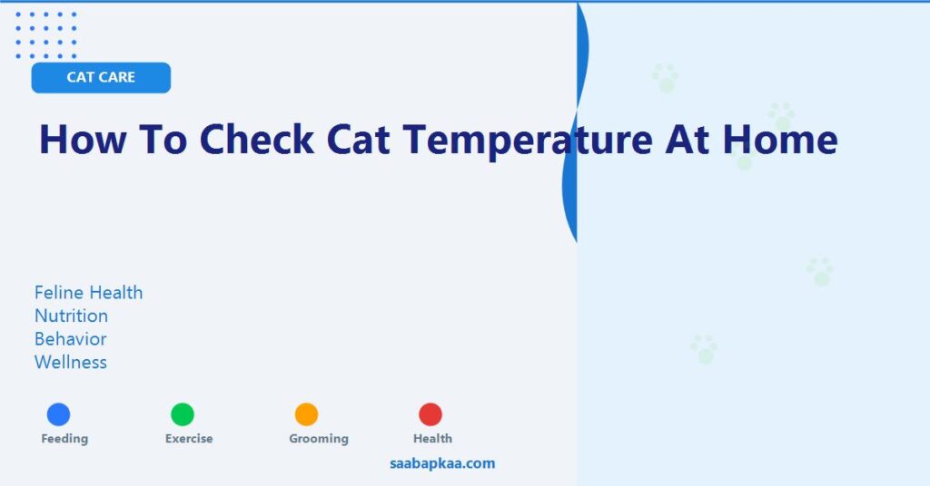 How To Check Cat Temperature At Home - saabapkaa.com