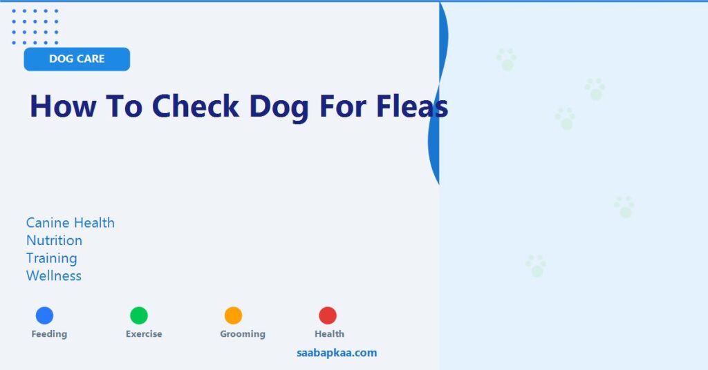 How to Check Dog for Fleas - saabapkaa.com