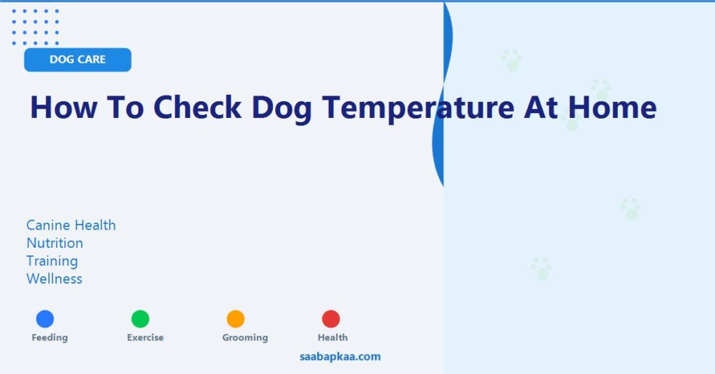 How to Check Dog Temperature at Home - saabapkaa.com