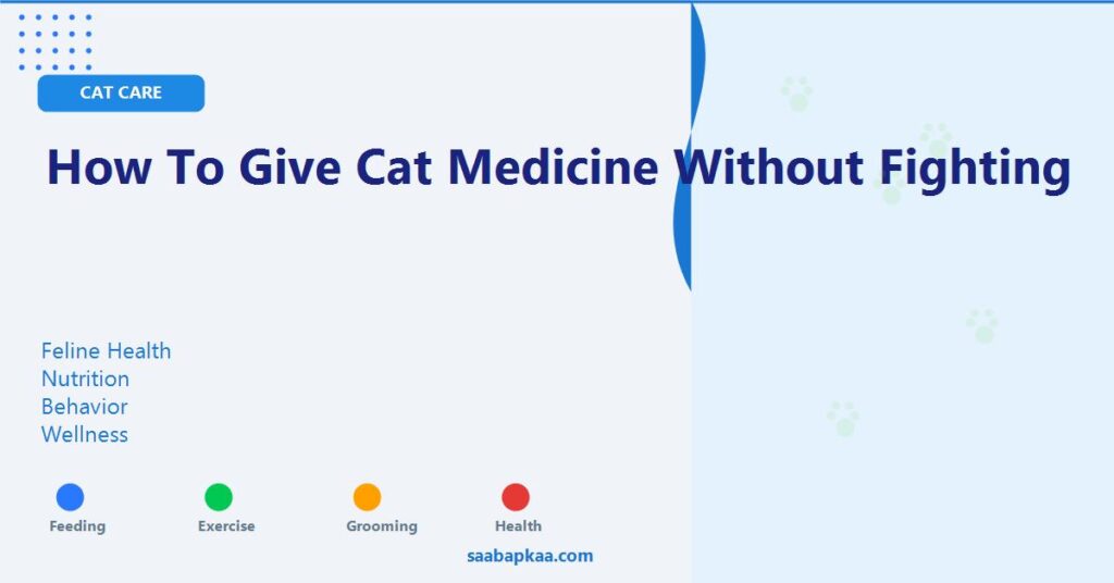 How To Give Cat Medicine Without Fighting - saabapkaa.com