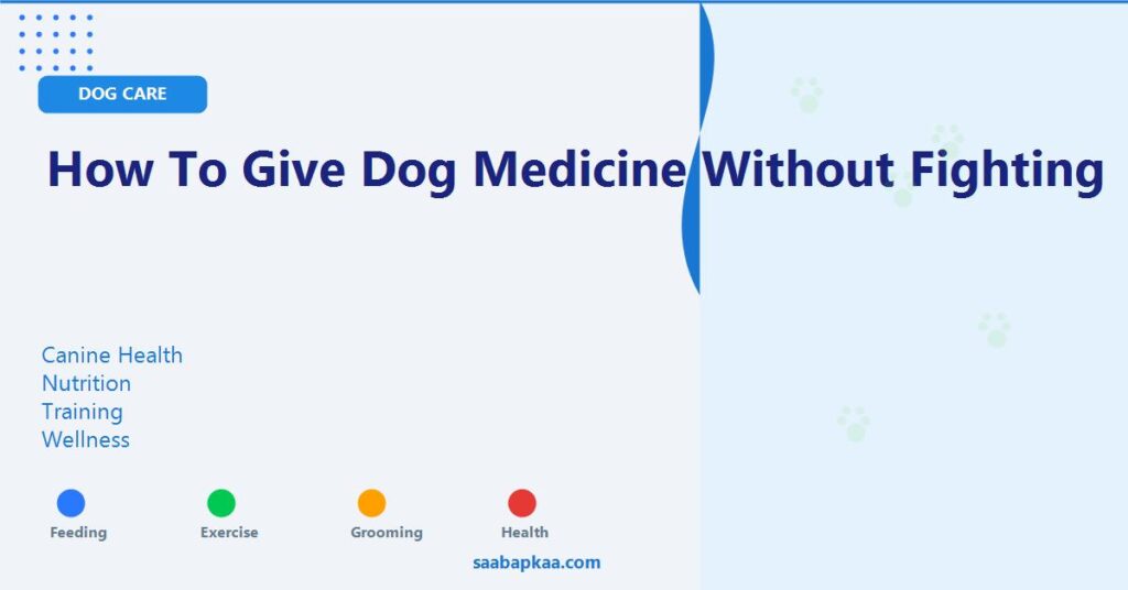 How to Give Dog Medicine Without Fighting - saabapkaa.com