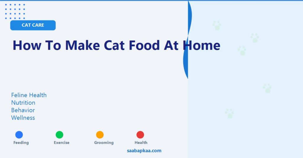 How To Make Cat Food At Home - saabapkaa.com