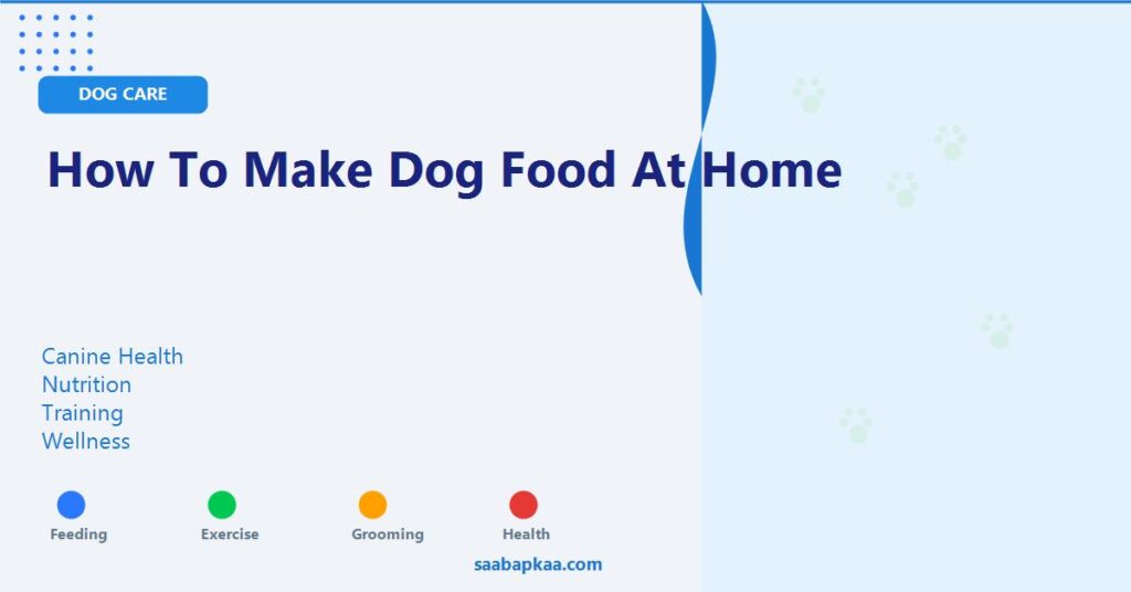 How to Make Dog Food at Home - saabapkaa.com