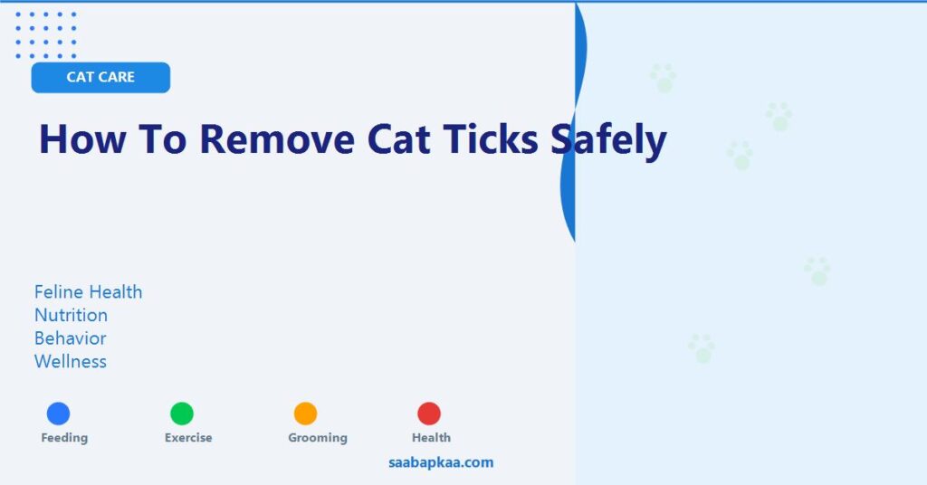 How To Remove Cat Ticks Safely - saabapkaa.com