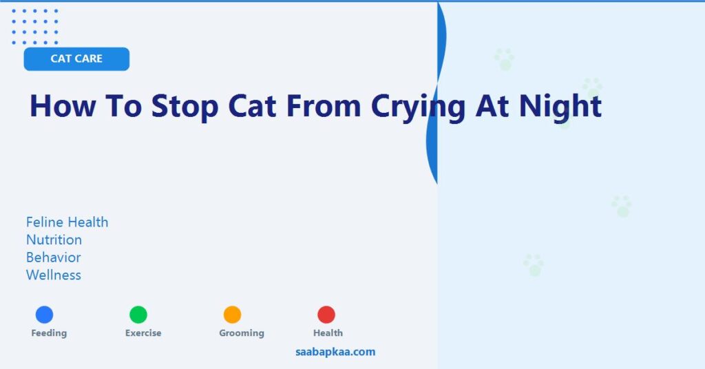 How To Stop Cat From Crying At Night - saabapkaa.com