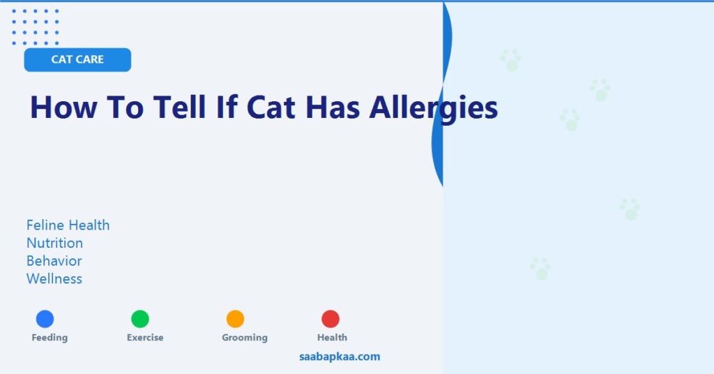 How To Tell If Cat Has Allergies - saabapkaa.com