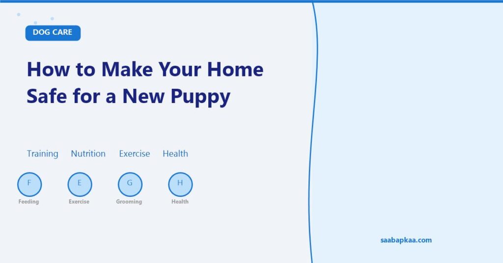 How to Make Your Home Safe for a New Puppy - saabapkaa.com