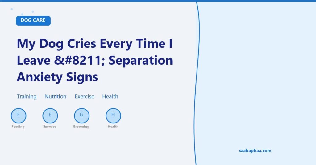 My Dog Cries Every Time I Leave – Separation Anxiety Signs - saabapkaa.com