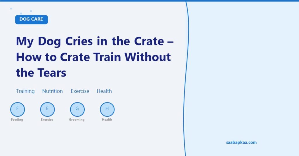 My Dog Cries in the Crate - How to Crate Train Without the Tears - saabapkaa.com