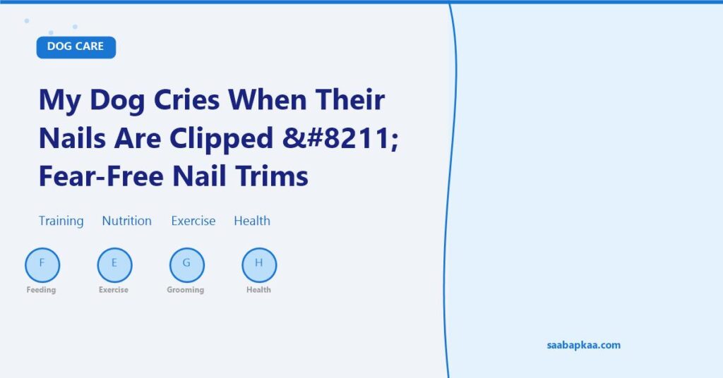 My Dog Cries When Their Nails Are Clipped – Fear-Free Nail Trims - saabapkaa.com