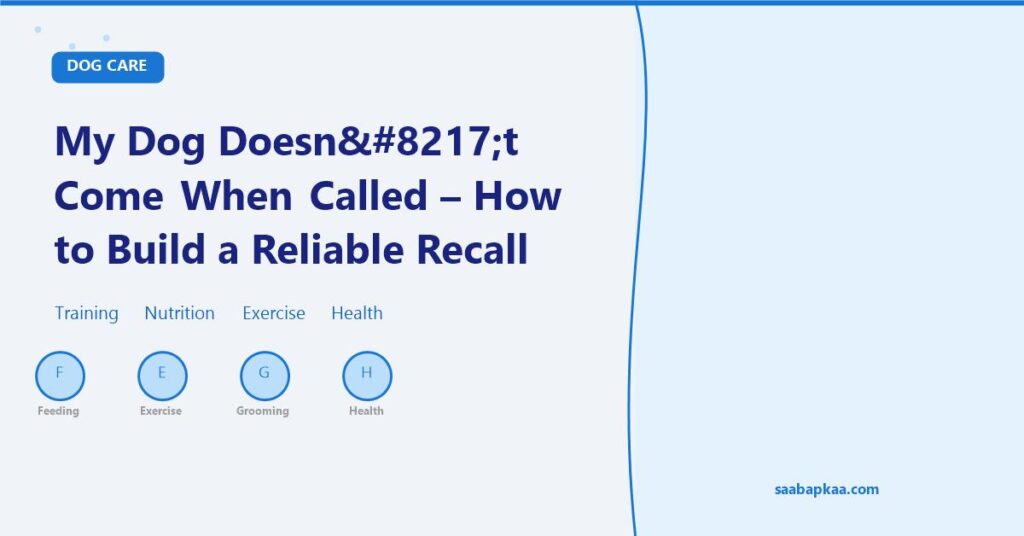 My Dog Doesn’t Come When Called - How to Build a Reliable Recall - saabapkaa.com