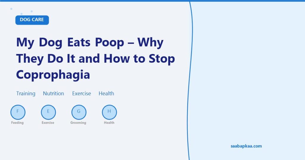 My Dog Eats Poop - Why They Do It and How to Stop Coprophagia - saabapkaa.com