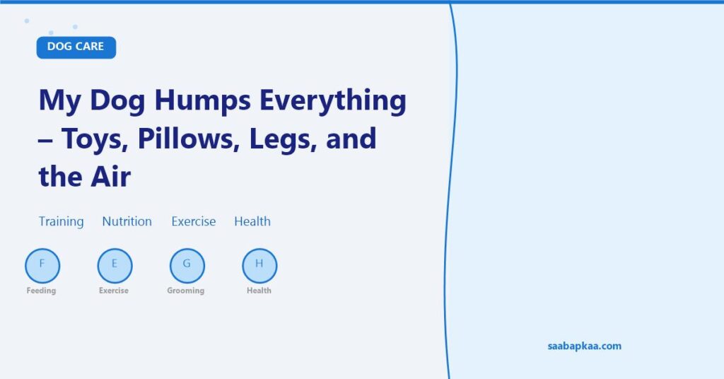 My Dog Humps Everything - Toys, Pillows, Legs, and the Air - saabapkaa.com