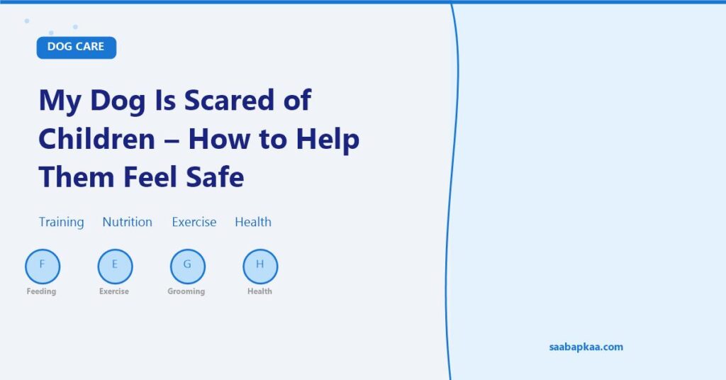 My Dog Is Scared of Children - How to Help Them Feel Safe - saabapkaa.com