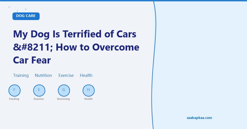 My Dog Is Terrified of Cars – How to Overcome Car Fear - saabapkaa.com
