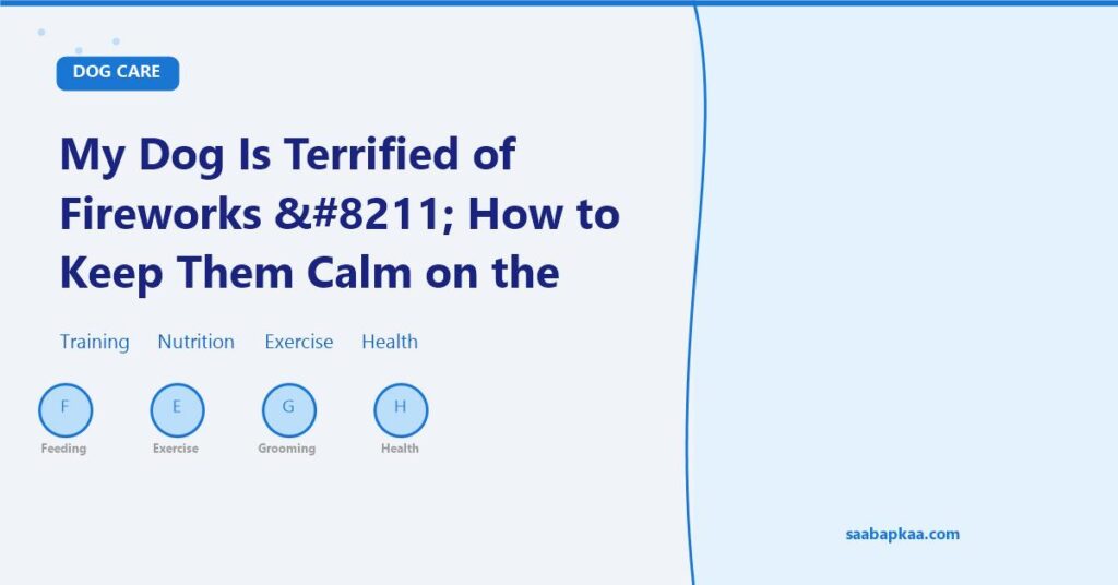 My Dog Is Terrified of Fireworks – How to Keep Them Calm on the Fourth of July - saabapkaa.com