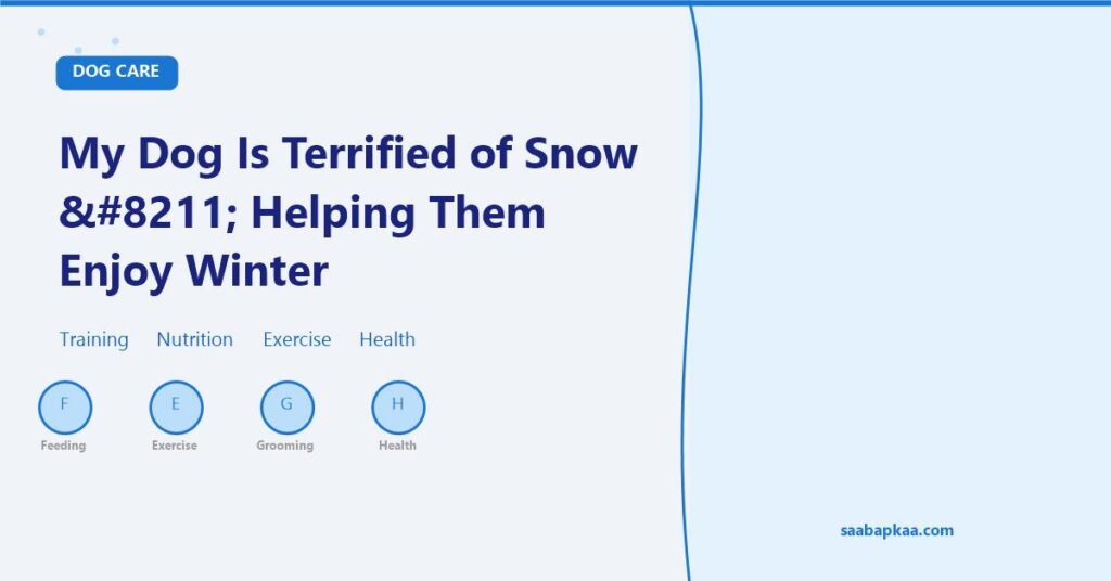 My Dog Is Terrified of Snow – Helping Them Enjoy Winter - saabapkaa.com